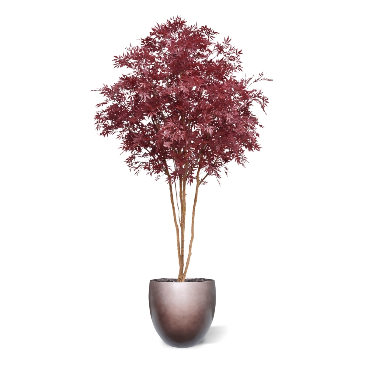 Albero Acer Giapponese Deluxe Artificiale 325cm Borgogna
