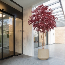 Albero Acer Giapponese Deluxe Artificiale 325cm Borgogna