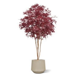 Albero Acer Giapponese Deluxe Artificiale 325cm Borgogna
