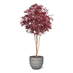 Albero Acer Giapponese Deluxe Artificiale 325cm Borgogna