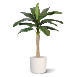Pianta artificiale di banana promo 120cm