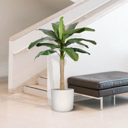 Pianta artificiale di banana promo 120cm