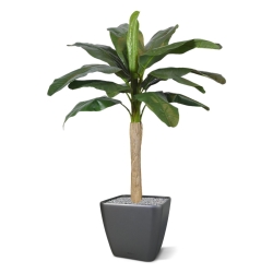 Pianta artificiale di banana promo 120cm