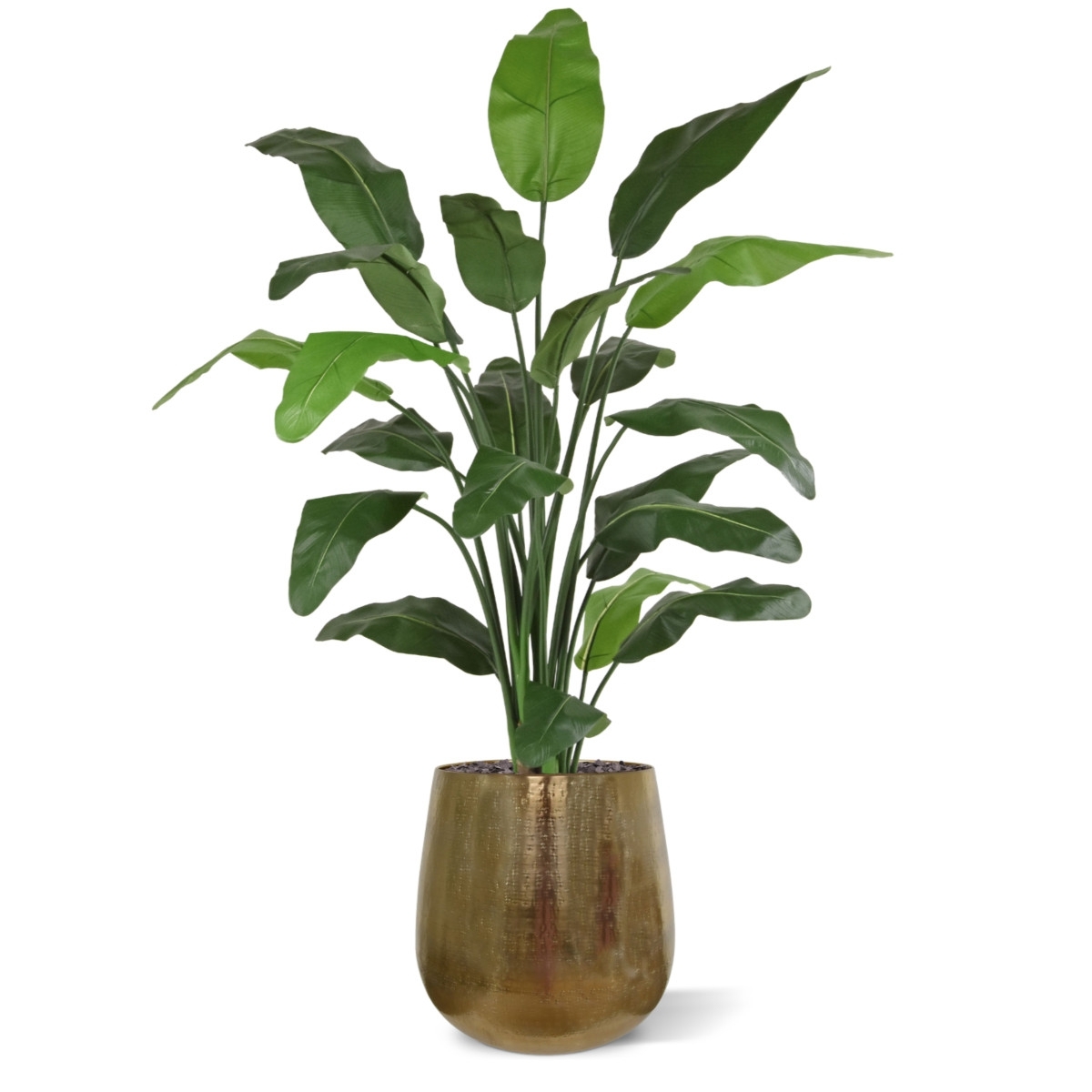 Pianta di palma artificiale Traveller deluxe 150 cm