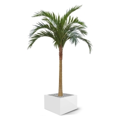 Palma artificiale Majesty x10 YG-Trunk 300cm