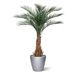 Palma artificiale Phoenix deluxe 180 cm