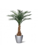 Palma artificiale Phoenix deluxe 180 cm