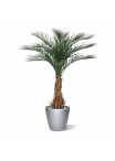Palma artificiale Phoenix deluxe 180 cm