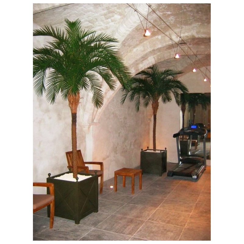 Phoenix Palm Deluxe OD 300 cm
