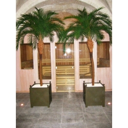 Phoenix Palm Deluxe OD 300 cm