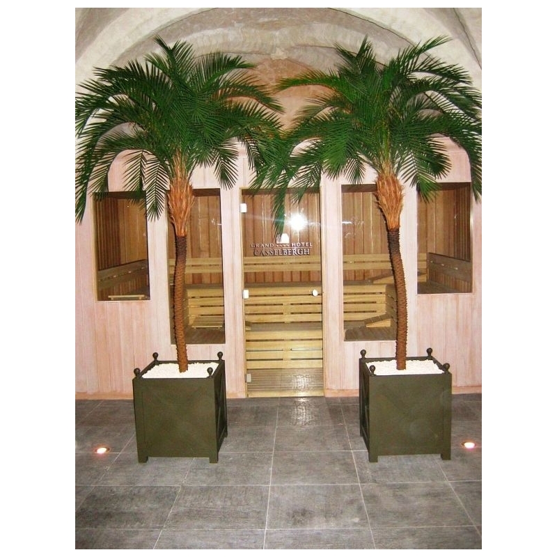 Phoenix Palm Deluxe OD 300 cm