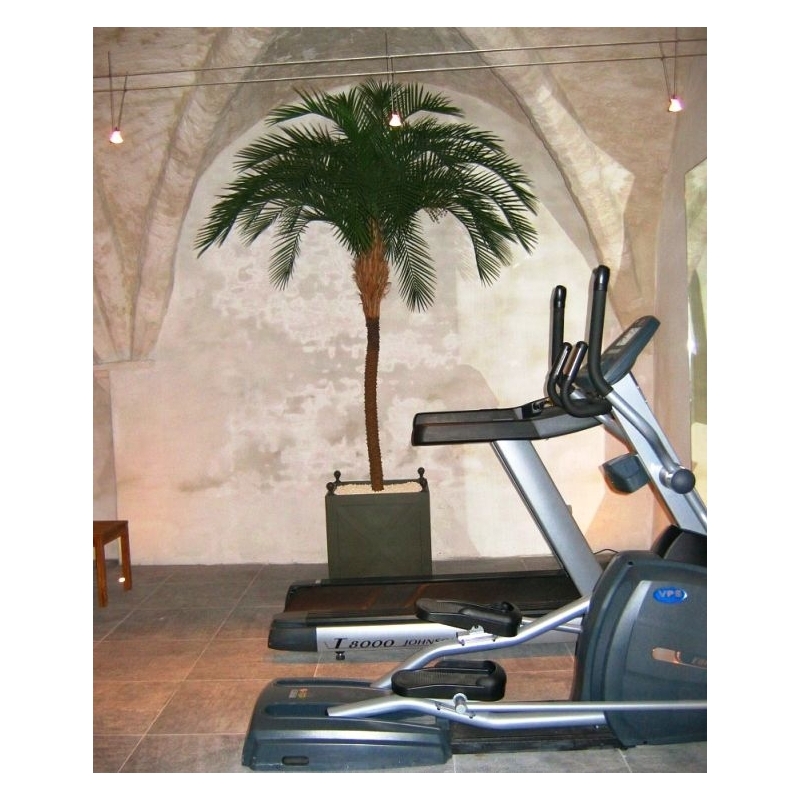 Phoenix Palm Deluxe OD 300 cm