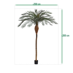 Phoenix Palm Deluxe OD 300 cm