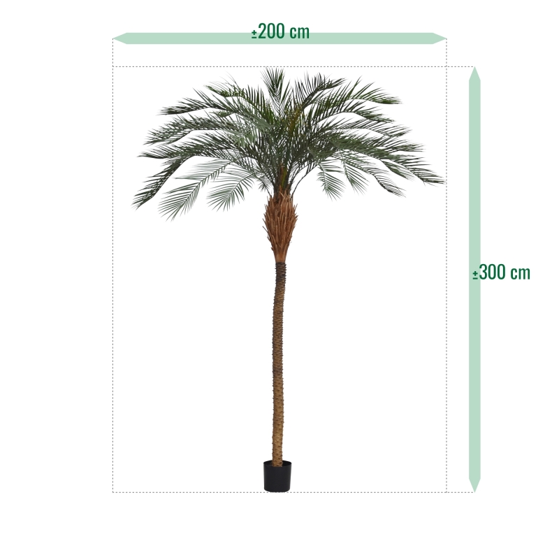 Phoenix Palm Deluxe OD 300 cm