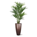 Palma artificiale Kentia deluxe XL 190 cm