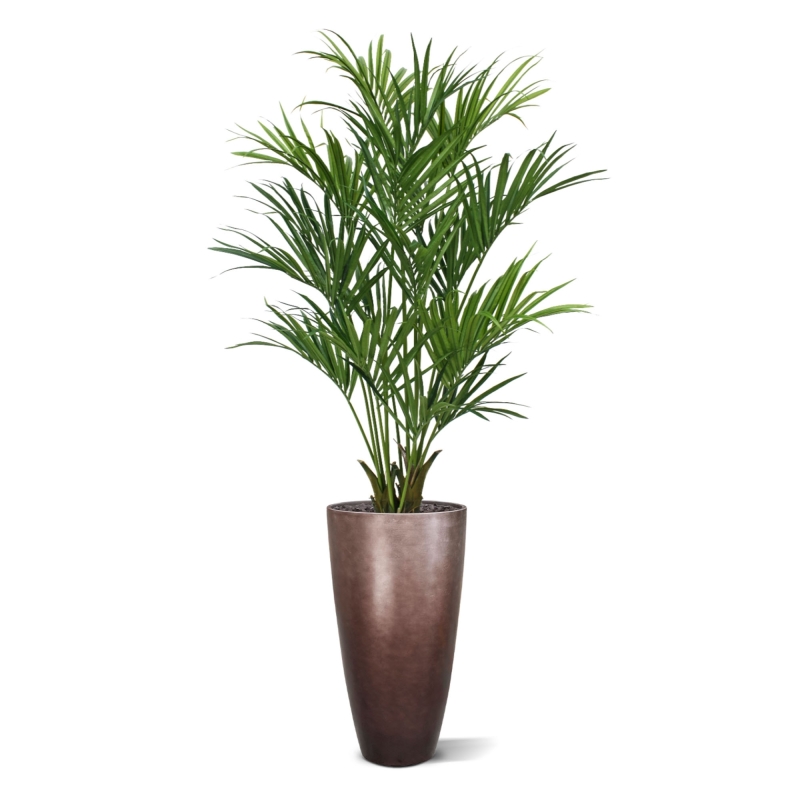 Palma artificiale Kentia deluxe XL 190 cm