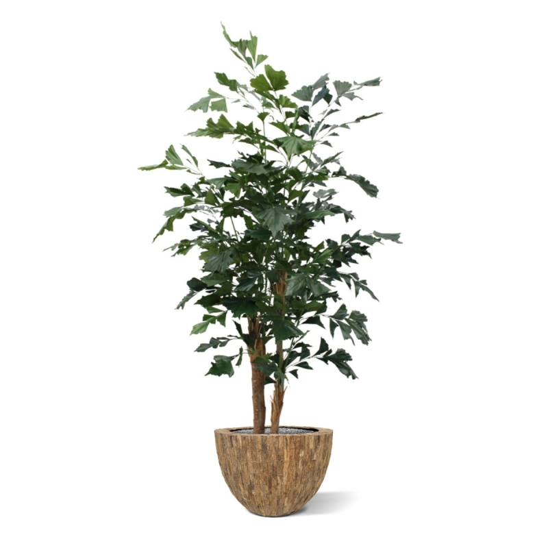 Palma artificiale Fishtail XL deluxe 190 cm