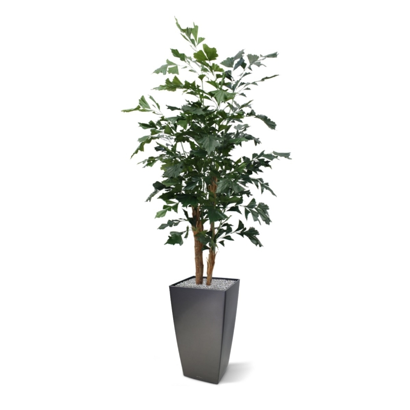Palma artificiale Fishtail XL deluxe 190 cm