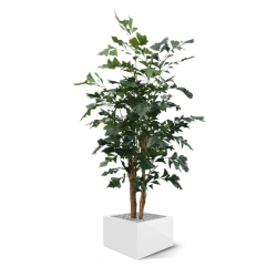 Palma artificiale Fishtail XL deluxe 190 cm