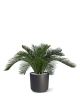 Palma artificiale Cycas Baby 45cm - N