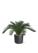 Palma artificiale Cycas Baby 45cm - N
