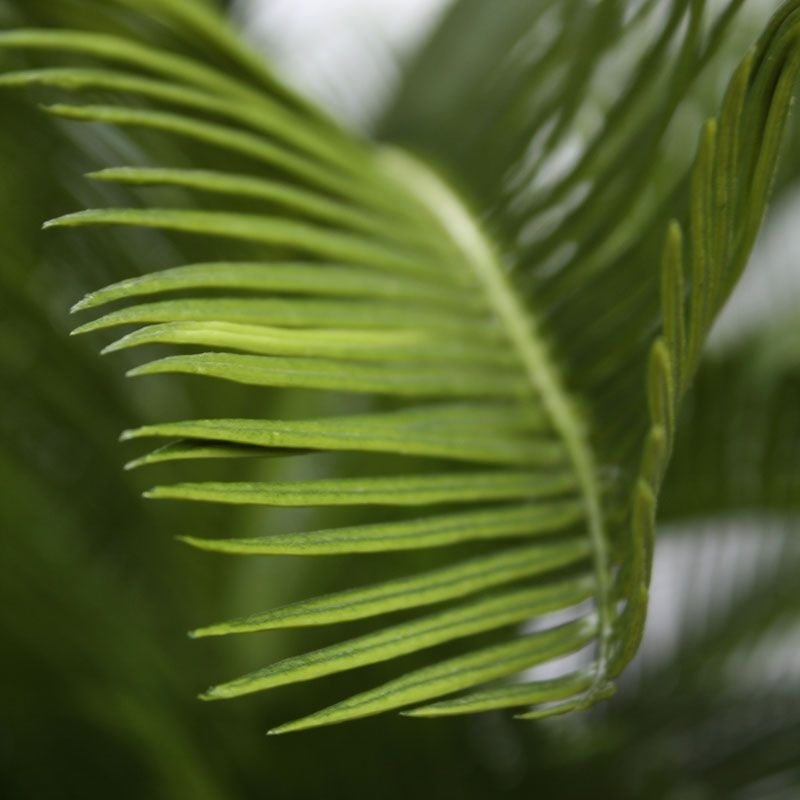 Palma artificiale Cycas Baby 45cm - N