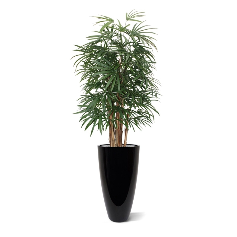 Palma artificiale Raphis deluxe 160 cm