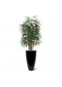 Palma artificiale Raphis deluxe 160 cm