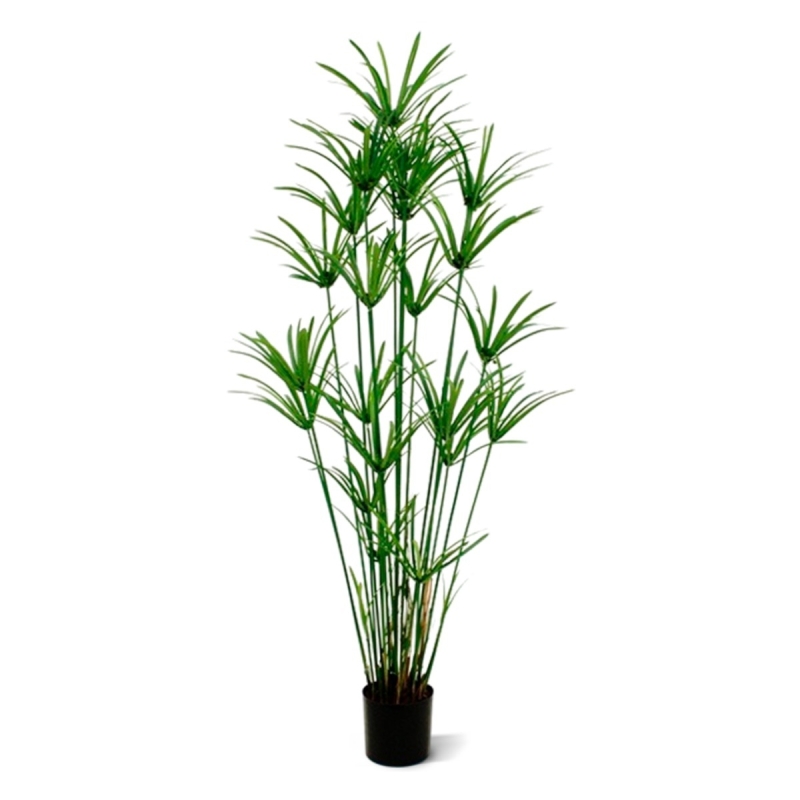 Pianta artificiale Papyrus deluxe 175 cm