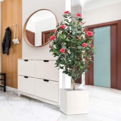 Camelia Japonica Deluxe 150 cm rosa