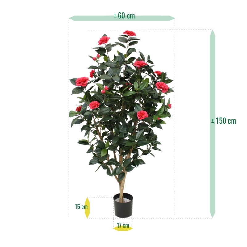 Camelia Japonica Deluxe 150 cm rosa