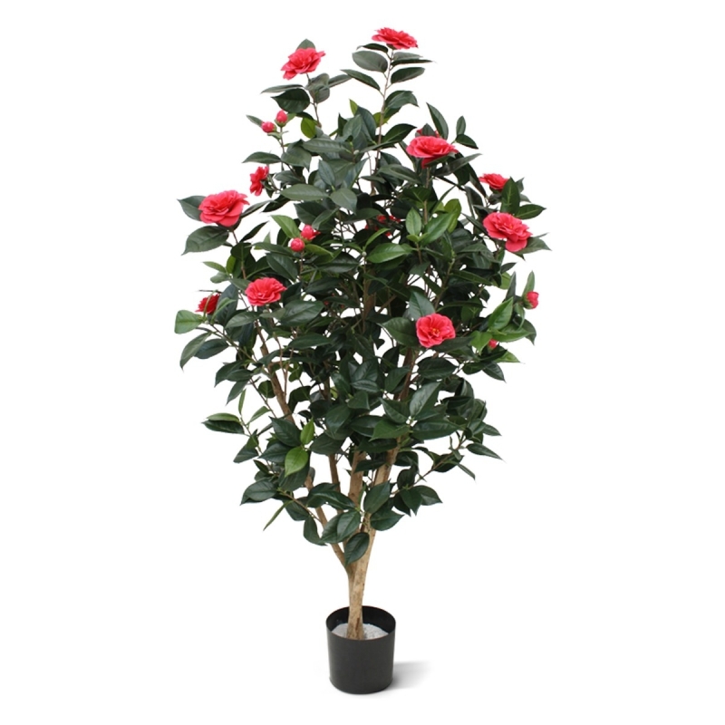 Camelia Japonica Deluxe 150 cm rosa