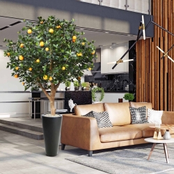 Albero d'arancio deluxe gigante 275 cm