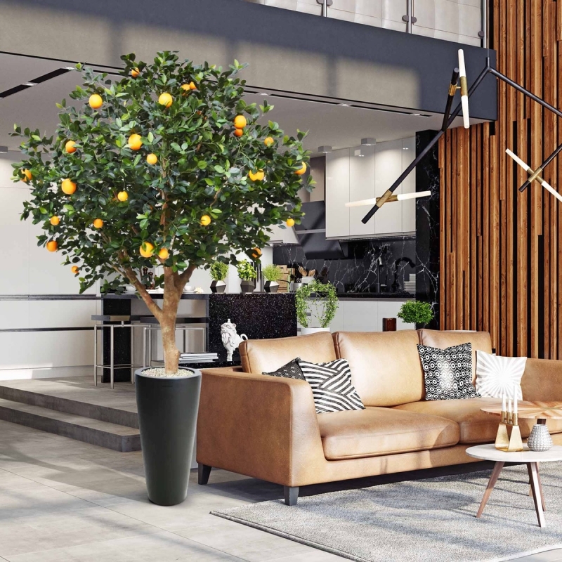 Albero d'arancio deluxe gigante 275 cm