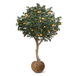 Albero d'arancio deluxe gigante 275 cm