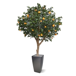 Albero d'arancio deluxe gigante 275 cm