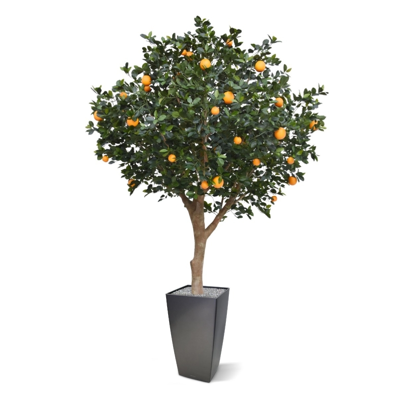 Albero d'arancio deluxe gigante 275 cm