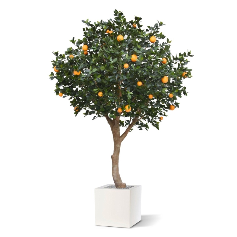 Albero d'arancio deluxe gigante 275 cm