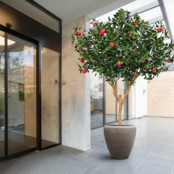 Albero artificiale di melo Deluxe XL 280 cm