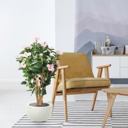 Ibisco Deluxe 100 cm rosa