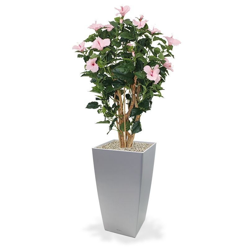 Ibisco Deluxe 100 cm rosa