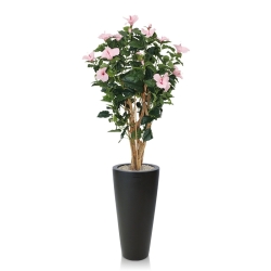 Ibisco Deluxe 100 cm rosa