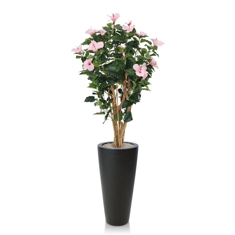 Ibisco Deluxe 100 cm rosa