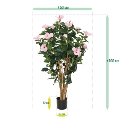 Ibisco Deluxe 100 cm rosa