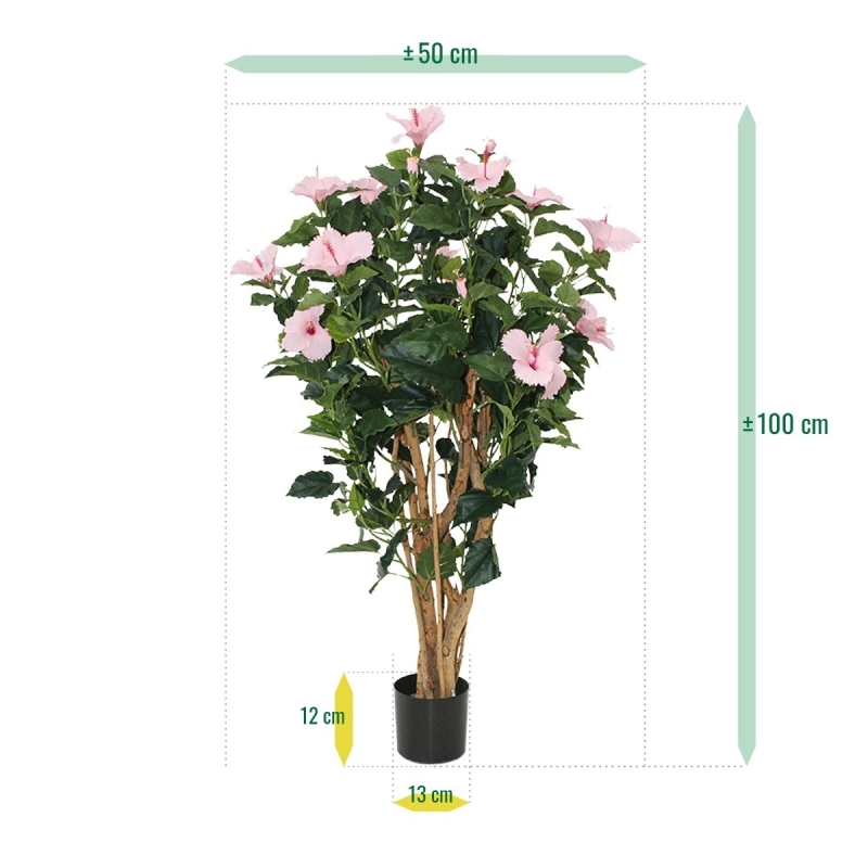 Ibisco Deluxe 100 cm rosa