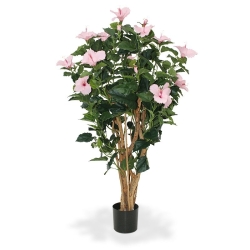 Ibisco Deluxe 100 cm rosa