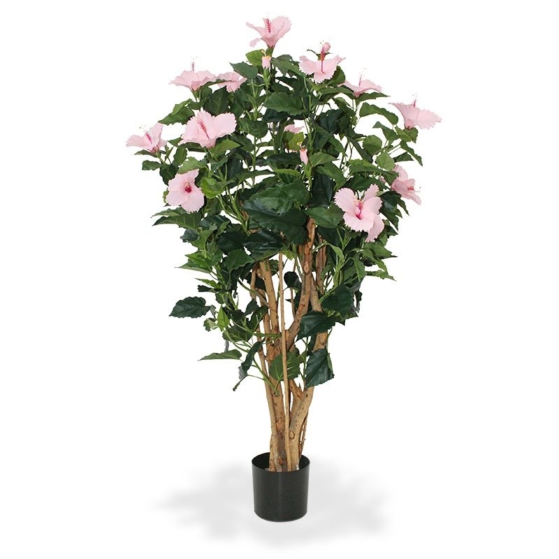 Ibisco Deluxe 100 cm rosa