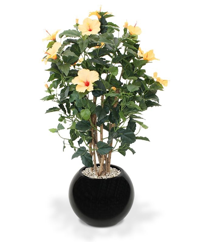 Ibisco Deluxe 100 cm pesca