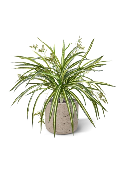 Chlorophytum RT pendente artificiale 45cm