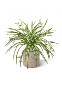 Chlorophytum RT pendente artificiale 45cm